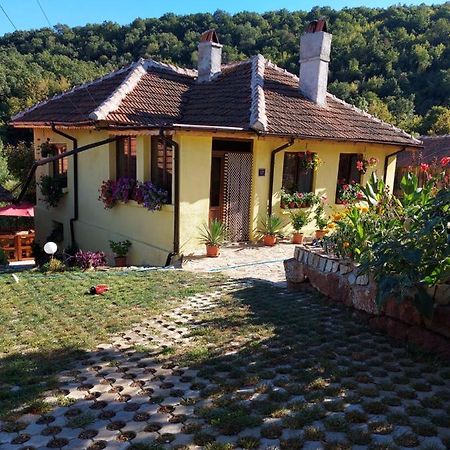 Guest House „Ivanovata House” Yanovets 外观 照片