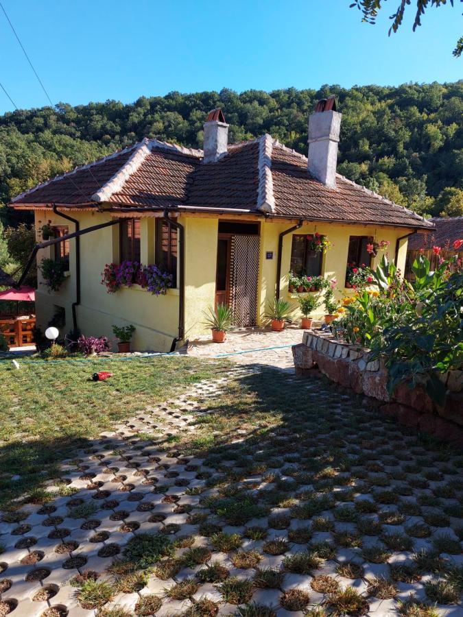 Guest House „Ivanovata House” Yanovets 外观 照片