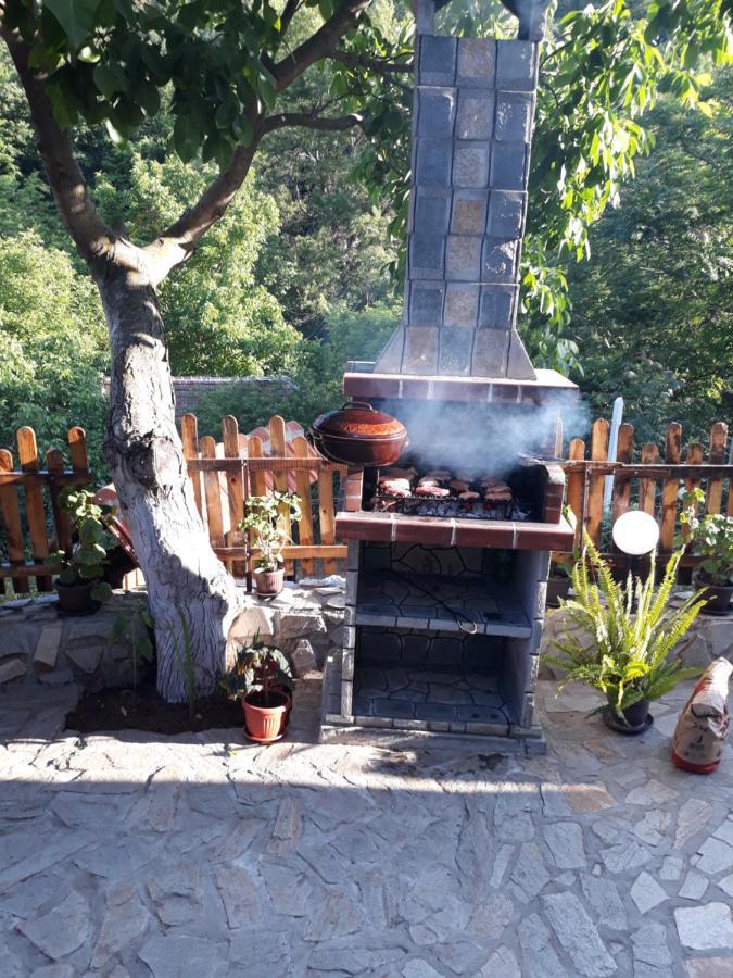Guest House „Ivanovata House” Yanovets 外观 照片