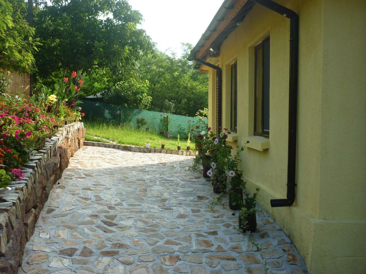 Guest House „Ivanovata House” Yanovets 外观 照片