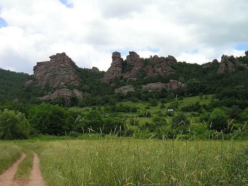 Guest House „Ivanovata House” Yanovets 外观 照片